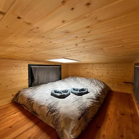 Kaktues Tiny House Отель типа 